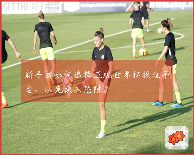 新手该如何选择正规世界杯投注平台,以免误入陷阱?