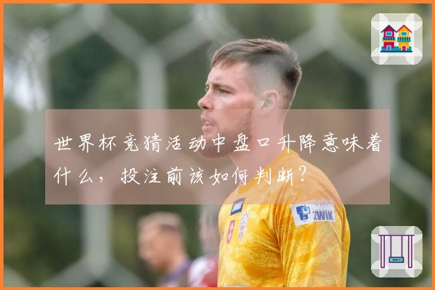 世界杯竞猜活动中盘口升降意味着什么，投注前该如何判断？