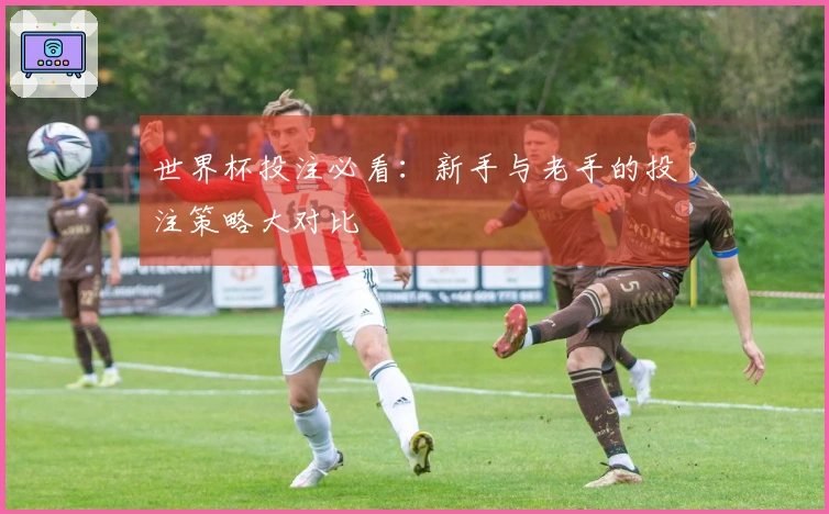世界杯投注必看：新手与老手的投注策略大对比